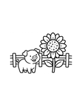 Pig & Sunflower Coloring Page — Single Printable Page